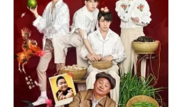 双渗透视频,视频深度解析